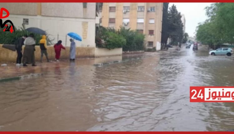 الأرشيف
